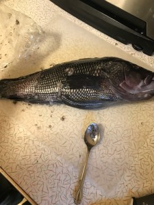 57567372383__24F2CE83-A5F0-45D0-9381-AC645B632D0C